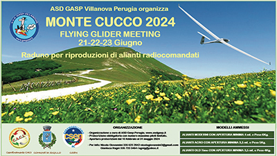 FLYING GLIDER MEETING